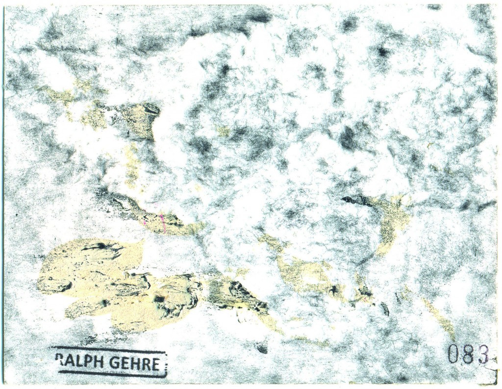 RALPH GEHRE elemento disperso 083 ACRILICA E GRAFITE SOBRE PAPEL ALGODaO 2015 CADERNO - B