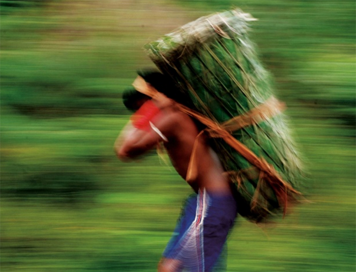 Ritual Yaokawa do povo indigena Enawene. Divulgação.