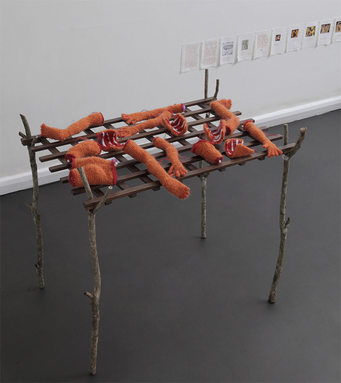 Ana Miguel. Hoje todos devem amar um sonho de Léry. Foto: Wilton Montenegro.