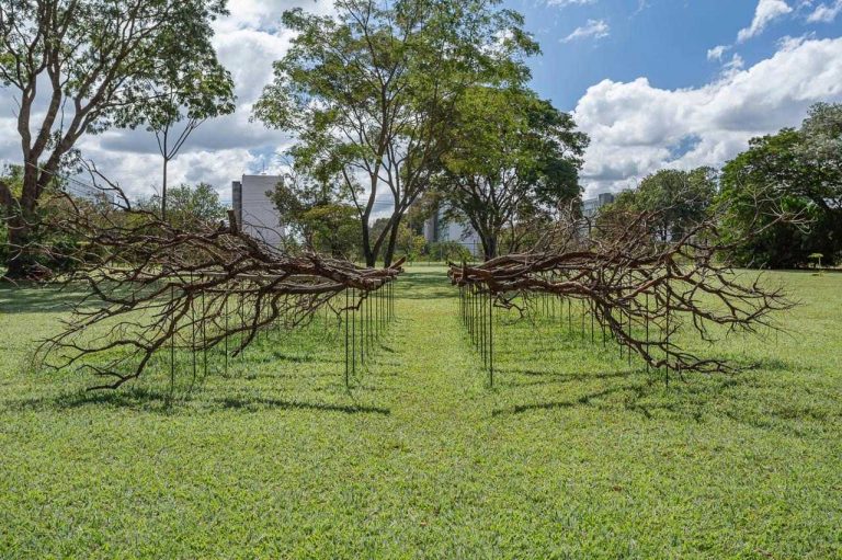 Exposição na Embaixada de Portugal aborda a relação entre humano, cidade e natureza