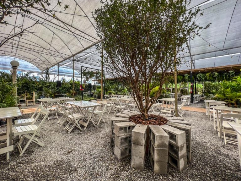Jardim Secreto aguça o paladar na experiência mágica de jantar em meio a milhares de plantas