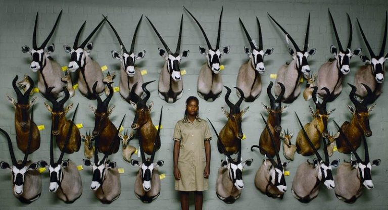 Mostra Ecofalante exibe vinte filmes premiados online na Semana do Meio Ambiente
